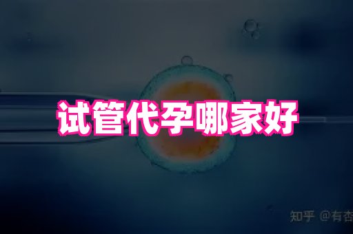 海口助孕网站 3