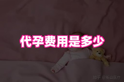 海口助孕网站 4